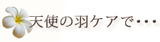 天使の羽ケアで･･･