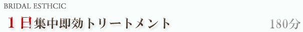 １日集中即効トリートメント180分